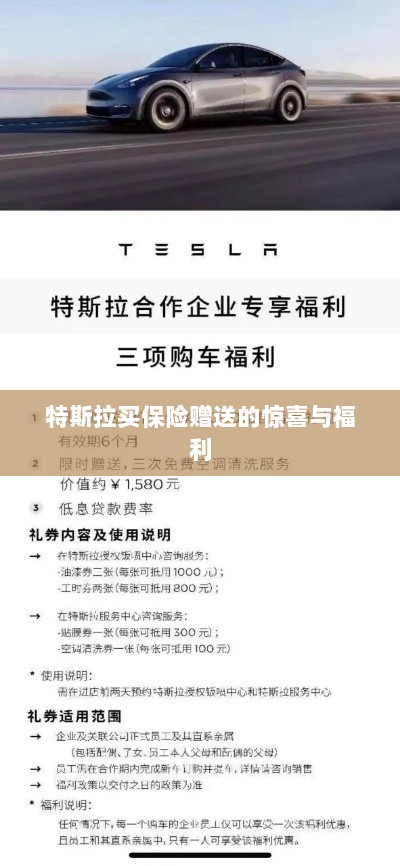 特斯拉保险购买赠品与惊喜福利概述-图1 特斯拉保险购买赠品与惊喜福利概述-图1