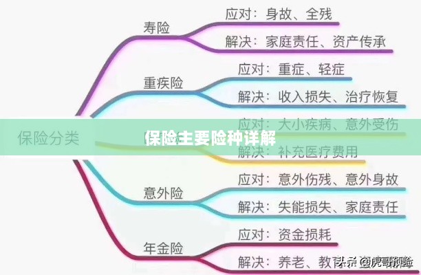 保险主要险种详解概览-图1 保险主要险种详解概览-图1