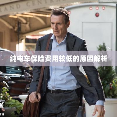 纯电车保险费用较低的原因探究-图1