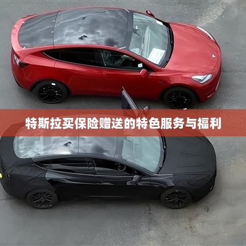 特斯拉保险特惠,独家特色服务与丰厚赠品等你来享-图1 特斯拉保险特惠,独家特色服务与丰厚赠品等你来享-图1