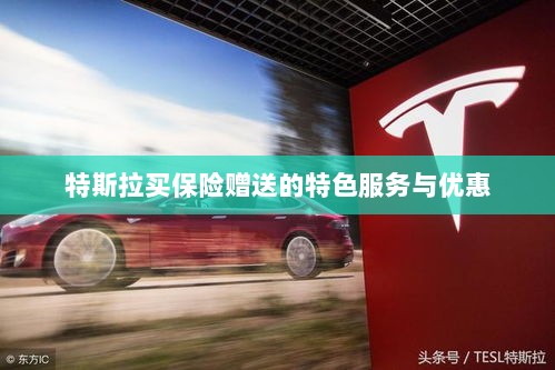 特斯拉保险特惠,买保险即享特色服务与优惠大礼包-图1 特斯拉保险特惠,买保险即享特色服务与优惠大礼包-图1