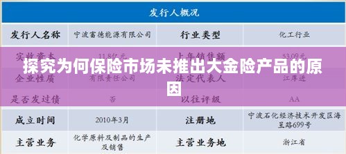 保险市场未推出大金险产品的原因探究-图1 保险市场未推出大金险产品的原因探究-图1