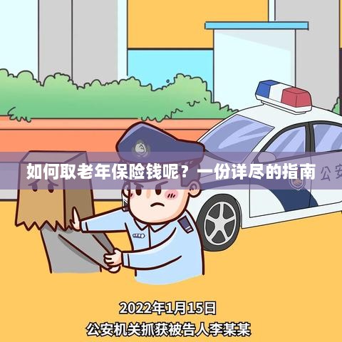 老年保险金的领取指南，步骤与要点详解-图1