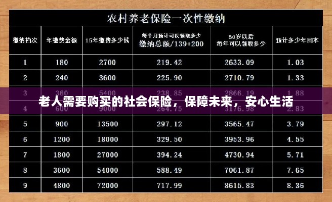 老人社会保险，保障未来，安心生活-图1