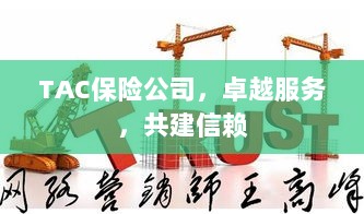 TAC保险公司，卓越服务，共筑信赖之巅-图1