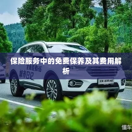 保险服务中的免费保养费用解析与指南-图1 保险服务中的免费保养费用解析与指南-图1