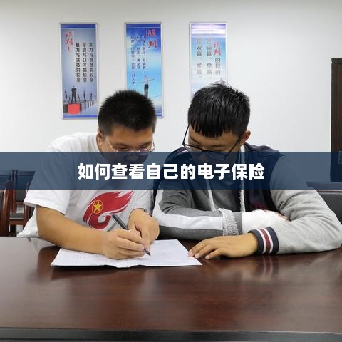 如何查看个人电子保险保单详情-图1