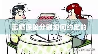 离婚保险分割约定详解-图1