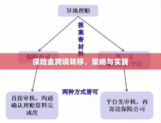 保险金跨境转移的策略与实践探讨-图1 保险金跨境转移的策略与实践探讨-图1