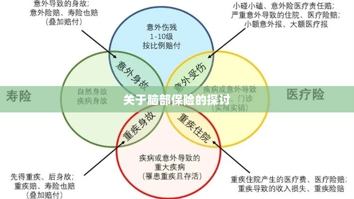 脑部保险，深度探讨与解析-图1