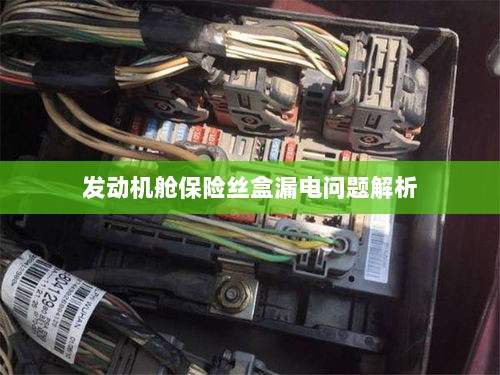 发动机舱保险丝盒漏电问题深度解析-图1 发动机舱保险丝盒漏电问题深度解析-图1