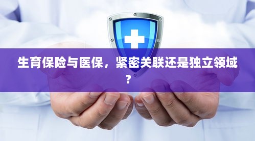 生育保险与医保，紧密关联还是独立领域探讨？-图1