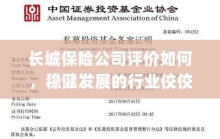 长城保险公司评价积极,行业稳健发展的佼佼者-图1 长城保险公司评价积极,行业稳健发展的佼佼者-图1