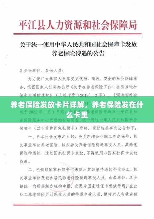 养老保险发放卡片详解,卡片类型与发放流程-图1 养老保险发放卡片详解,卡片类型与发放流程-图1
