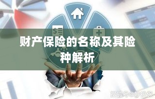 财产保险名称及险种深度解析-图1 财产保险名称及险种深度解析-图1