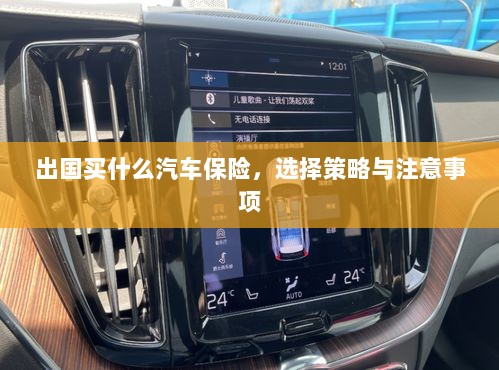 出国购车保险指南，选择策略与注意事项-图1