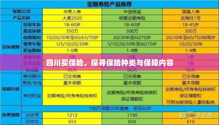 四川保险探秘,种类与保障内容全解析-图1 四川保险探秘,种类与保障内容全解析-图1