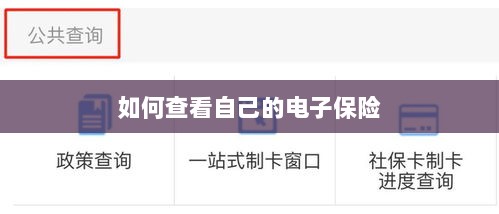 如何查看个人电子保险保单详情-图1 如何查看个人电子保险保单详情-图1