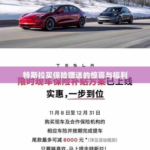 特斯拉保险购买赠品与惊喜福利概述-图1 特斯拉保险购买赠品与惊喜福利概述-图1