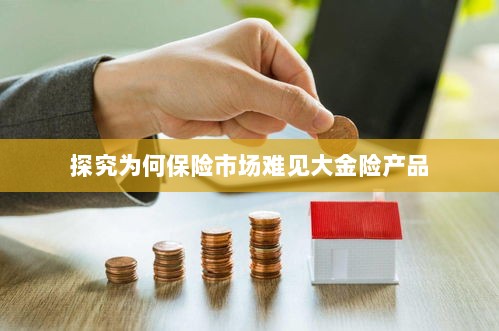 大金险产品在保险市场的稀缺原因探究-图1