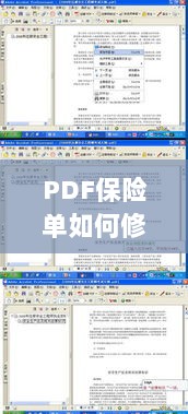 PDF保险单修改指南，步骤与注意事项全解析-图1