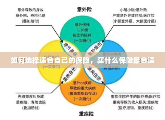 如何选择适合自己的保险，最合适的保险类型推荐-图1
