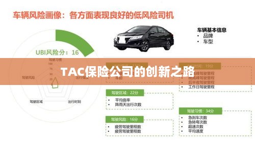 TAC保险公司的创新之旅-图1
