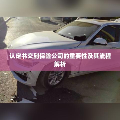 认定书交到保险公司的流程解析与重要性探讨-图1 认定书交到保险公司的流程解析与重要性探讨-图1