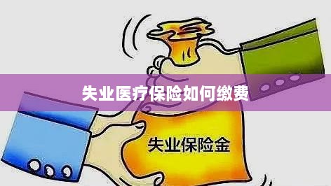 失业医疗保险缴费指南-图1 失业医疗保险缴费指南-图1