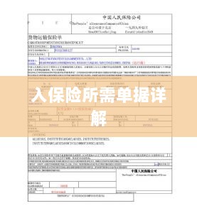 入保险必备单据解析-图1