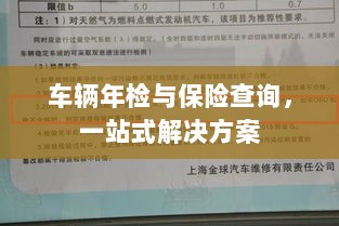 车辆年检与保险查询，一站式解决方案解析-图1