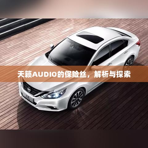 天籁AUDIO保险丝解析与探索-图1