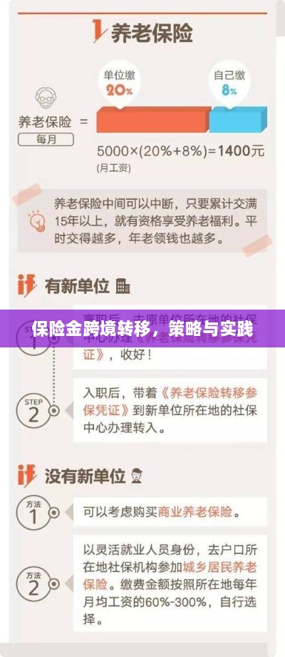 保险金跨境转移的策略与实践探讨-图1 保险金跨境转移的策略与实践探讨-图1
