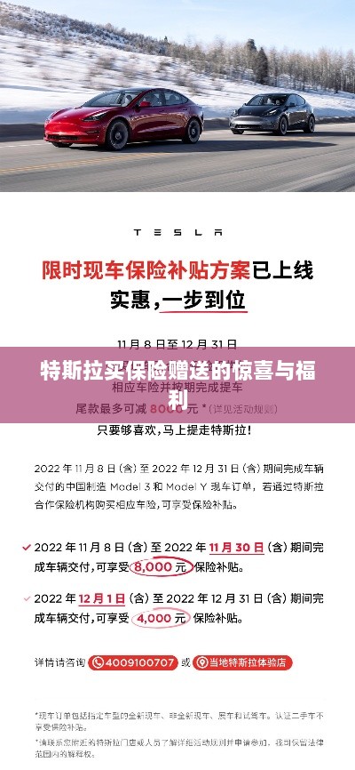 特斯拉保险购买赠品与惊喜福利概述-图1 特斯拉保险购买赠品与惊喜福利概述-图1