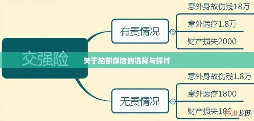 脑部保险的选择与探讨指南-图1