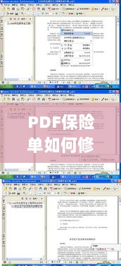 PDF保险单修改指南-图1 PDF保险单修改指南-图1