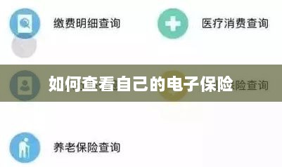 如何查看个人电子保险保单详情-图1