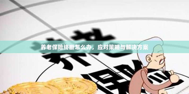 养老保险中断应对指南,解决方案与策略-图1 养老保险中断应对指南,解决方案与策略-图1