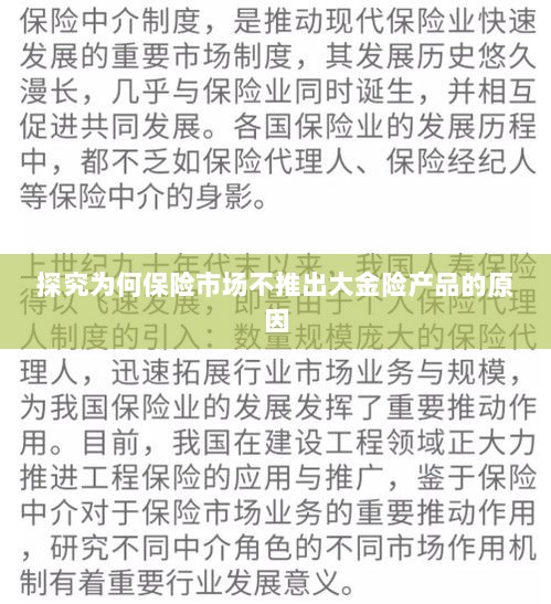 探究保险市场未推出大金险产品的原因分析-图1 探究保险市场未推出大金险产品的原因分析-图1