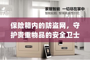 保险箱内防盗网,守护贵重物品的安全屏障-图1 保险箱内防盗网,守护贵重物品的安全屏障-图1