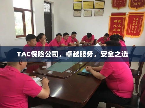 TAC保险公司，卓越服务，信赖的安全之选-图1