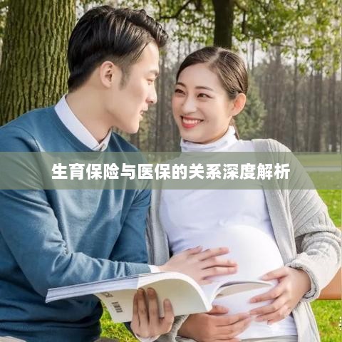 生育保险与医保关系的深度探讨-图1