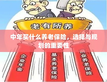 中年养老保险的选择与规划,关键性与策略探讨-图1 中年养老保险的选择与规划,关键性与策略探讨-图1