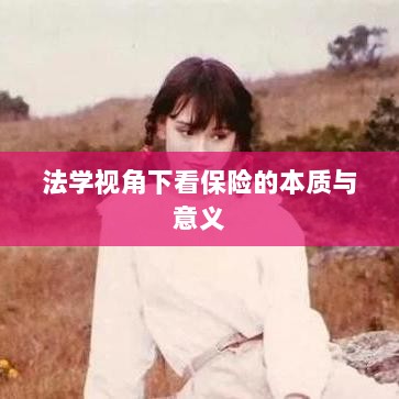 法学视角看保险的本质与意义解析-图1