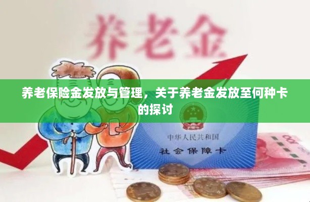 养老保险金发放与管理，关于养老金发放至哪种卡的深度探讨-图1