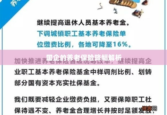 国企养老保险降幅深度解析-图1 国企养老保险降幅深度解析-图1