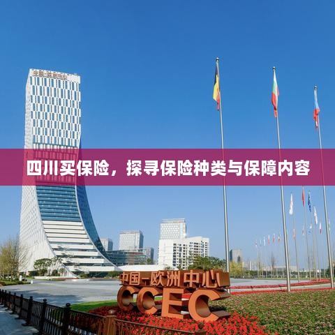 四川保险探秘，种类与保障内容全解析-图1