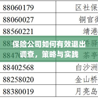 保险公司有效退出调查的策略与实践探讨-图1