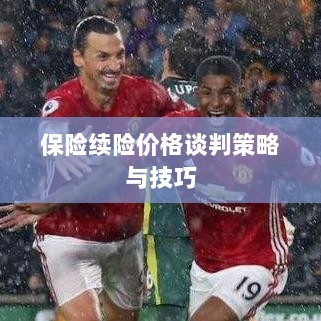 保险续险价格谈判策略与技巧探讨-图1 保险续险价格谈判策略与技巧探讨-图1