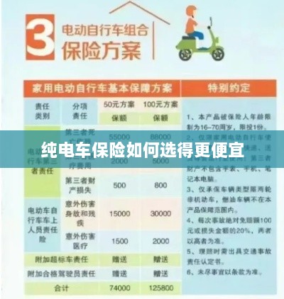 纯电车保险如何选得更经济实惠?-图1 纯电车保险如何选得更经济实惠?-图1